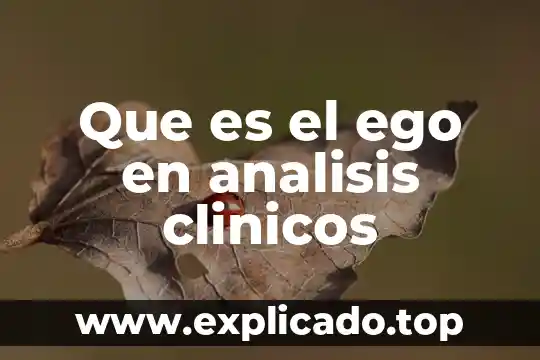 Que es quimica biologica en analisis clinicos 4 Que es el ego en analisis clinicos