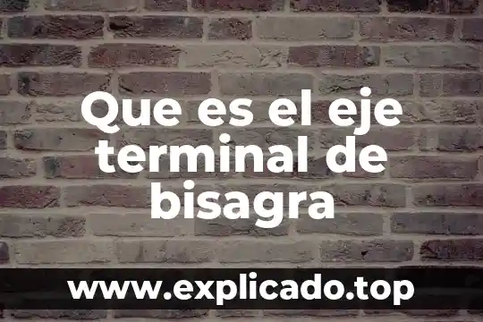 Que es una terminal carretra 4 Que es el eje terminal de bisagra
