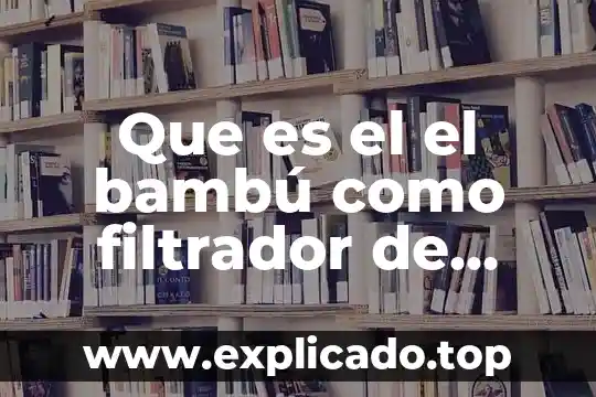 Que es un proyecto de transversalidad del agua 3 Que es el el bamb煤 como filtrador de agua