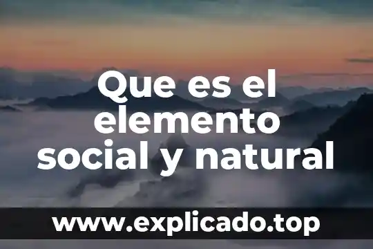 Que es elemento reactivo 6 Que es el elemento social y natural