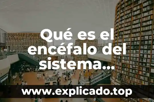 Que es el sistema nervioso dibulos faciles 4 Qué es el encéfalo del sistema nervioso