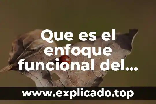 Que es un glosario ejemplo hacer un glosario de español 4 Que es el enfoque funcional del español