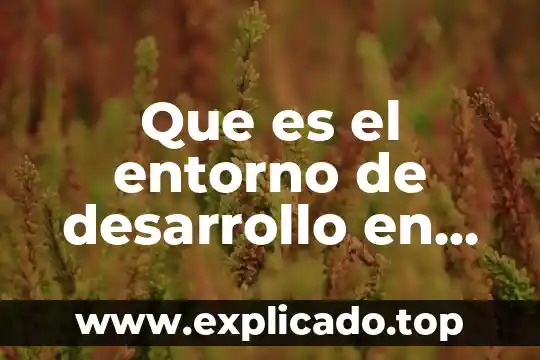 Qué es mdi parent form en Visual Basic 2010 6 Que es el entorno de desarrollo en visual basic