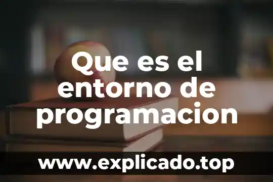 Que es el entorno y sus caracteristicas 8 Que es el entorno de programacion