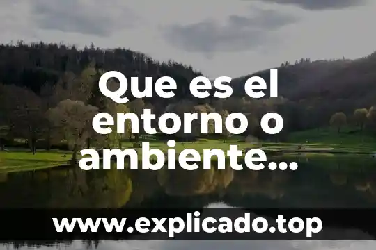 Que es un grupo virtual de noticias 3 Que es el entorno o ambiente virtual
