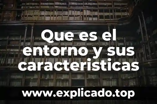Que es el entorno de programacion 5 Que es el entorno y sus caracteristicas