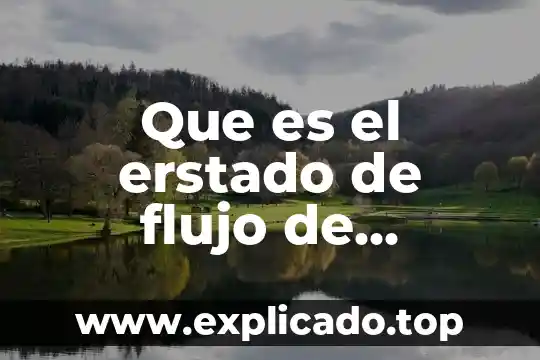 Que es el raptor para diagramas de flujo 3 Que es el erstado de flujo de efectivo