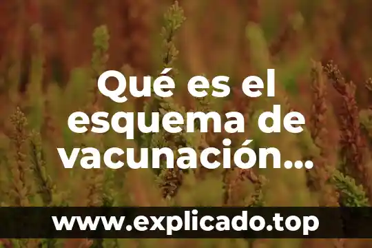 Que es cobertura administrativa en vacunacion 7 Qué es el esquema de vacunación según la OMS