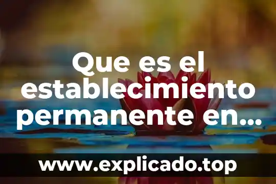 Que es el establecimiento permanente en mexico 8 Que es el establecimiento permanente en derecho fiscal