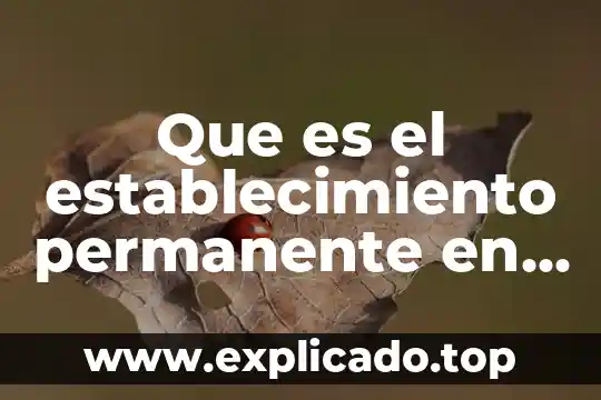 Que es una mision permanente en derecho 8 Que es el establecimiento permanente en mexico