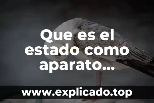 Qué es el estado de oxidación que indica 5 Que es el estado como aparato político