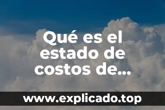 Materia prima que es en costos 5 Qué es el estado de costos de ventas netas