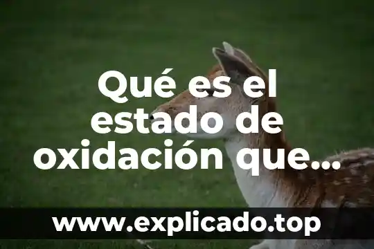 Qué es memoria de estado sólido 3 Qué es el estado de oxidación que indica