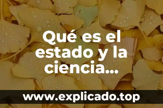 Qué es dinámica social según Comte 5 Qué es el estado y la ciencia positiva según Comte