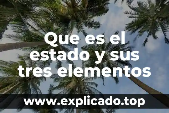 Que es el estado y sus tres elementos