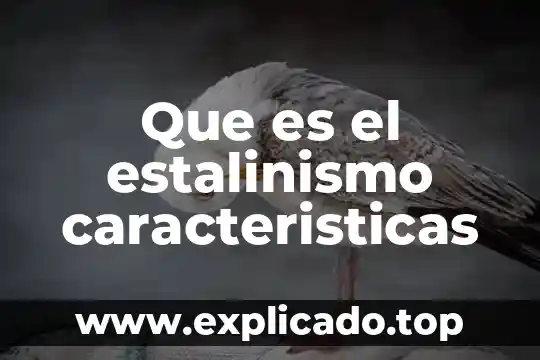 Qué es coloide y sus características 4 Que es el estalinismo caracteristicas