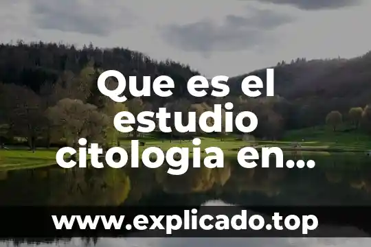 Que es un estudio de vaso 6 Que es el estudio citologia en vaso liquido