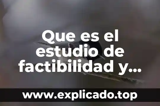 Que es una guajolota comida 6 Que es el estudio de factibilidad y rentabilidad económica