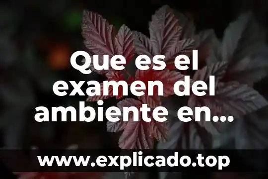 Que es un examen medico de ingreso laboral 5 Que es el examen del ambiente en planeacion