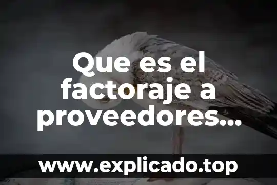 Que es factoraje financiero en derecho mercantil 4 Que es el factoraje a proveedores sin recurso
