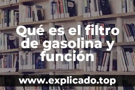 Que es un filtro organico 6 Qué es el filtro de gasolina y función