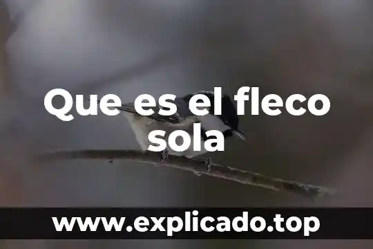 Que es una administracion de riestos 3 Que es el fleco sola