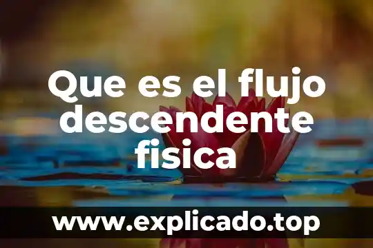 Que es el raptor para diagramas de flujo 6 Que es el flujo descendente fisica