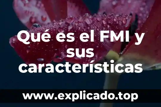 Que es la ideologia y sus caracteristicas 8 Qué es el FMI y sus características