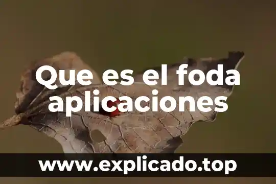 Que es analisis f.o.d.a de chamarras 3 Que es el foda aplicaciones
