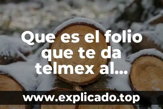 Que es verso blanco y da un ejemplo 6 Que es el folio que te da telmex al contratar