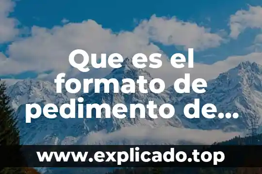 Que es naturaleza multidisciplinaria de los problemas de aprendizaje 6 Que es el formato de pedimento de importación definitiva
