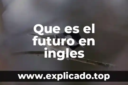 Que es bueno de carnada para pescar 8 Que es el futuro en ingles