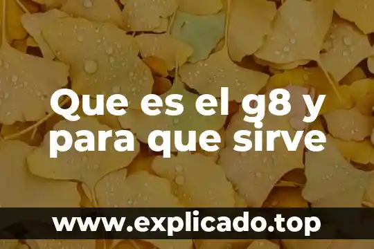 Qué es inmate en inglés 3 Que es el g8 y para que sirve