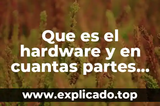 A cuántas semanas se puede saber que es mi bebe 7 Que es el hardware y en cuantas partes se clasifica