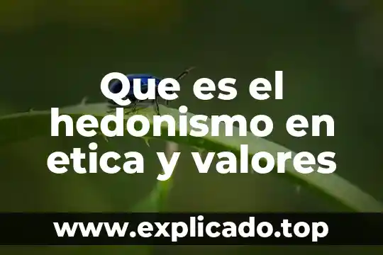 Que es objeto de estudio de la etica 7 Que es el hedonismo en etica y valores