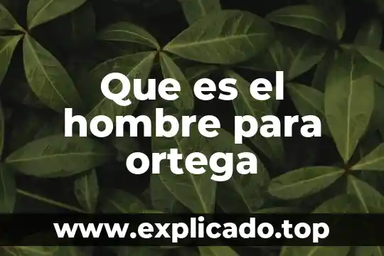 Nunca le digas a un hombre que es guapo 8 Que es el hombre para ortega
