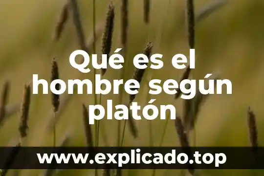 Que es el rif segun el sat 8 Qué es el hombre según platón