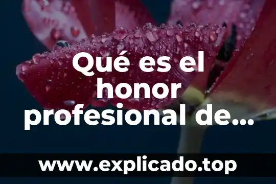 Que es un contador de costos 6 Qu茅 es el honor profesional de un contador p煤blico