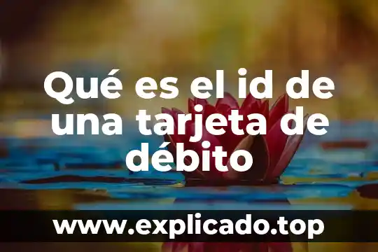 Que es el iva debito fiscal 6 Qué es el id de una tarjeta de débito