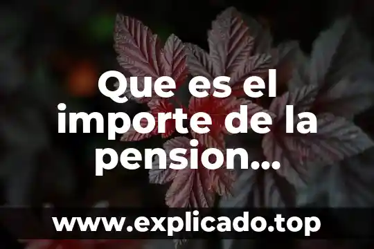 Que es importe de interses 6 Que es el importe de la pension garantizada articulo 168