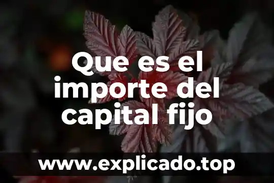 Que es un evaluo de activo fijo 8 Que es el importe del capital fijo