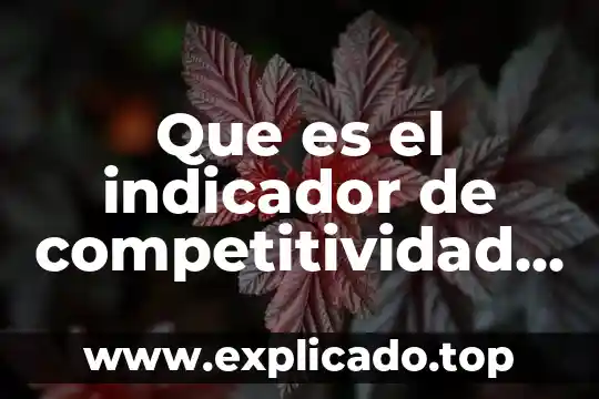 Que es el indicador gp en el laboratorio 8 Que es el indicador de competitividad wef