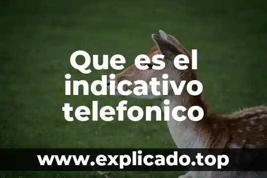 Que es el preterito pluscuamperfecto del indicativo 8 Que es el indicativo telefonico