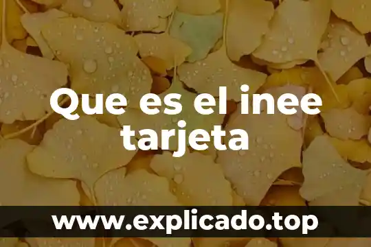 Que es una tarjeta por promoci贸n 6 Que es el inee tarjeta