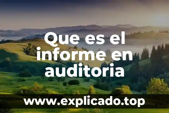 Que es un informe de lectura descriptivo 4 Que es el informe en auditoria