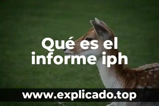 Que es la creacion de un informe en mysql 6 Qué es el informe iph
