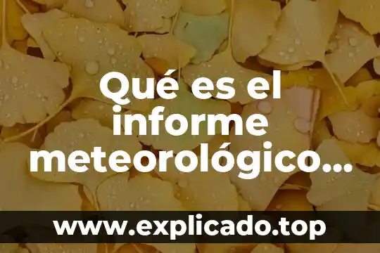 Que es un informe de lectura descriptivo 6 Qué es el informe meteorológico de radar