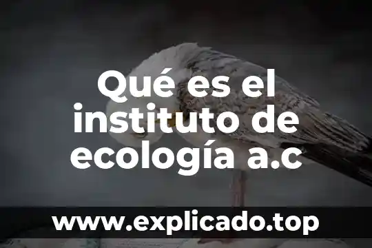 Qué es el instituto de ecología a.c