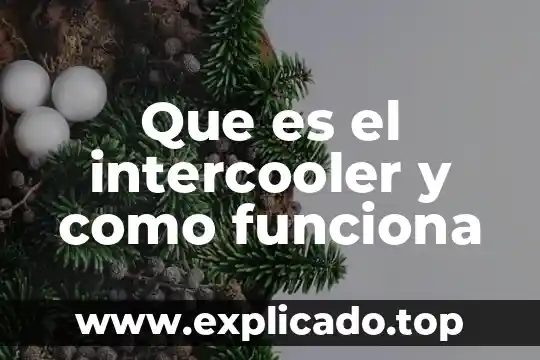 Que es y como funciona una licencia informatica 5 Que es el intercooler y como funciona
