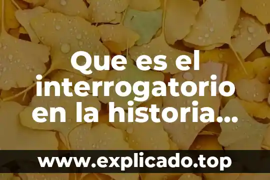 Que es un analizador de quimica clinica 4 Que es el interrogatorio en la historia clinica